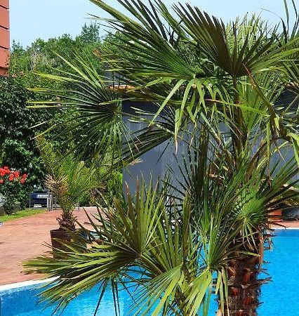 Apartament Cacao Residence ساني بيتش المظهر الخارجي الصورة