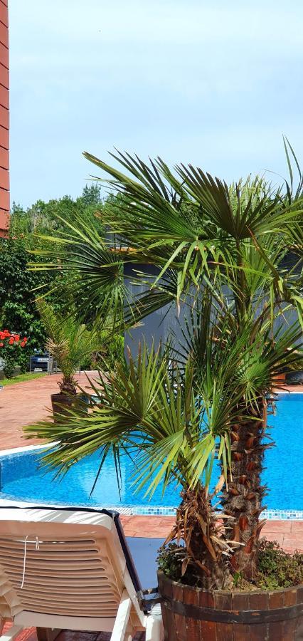 Apartament Cacao Residence ساني بيتش المظهر الخارجي الصورة